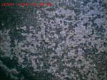     . 

:	0_3e77e_4dcb4bb7_XL.jpg 
:	26 
:	55.1  
ID:	1797