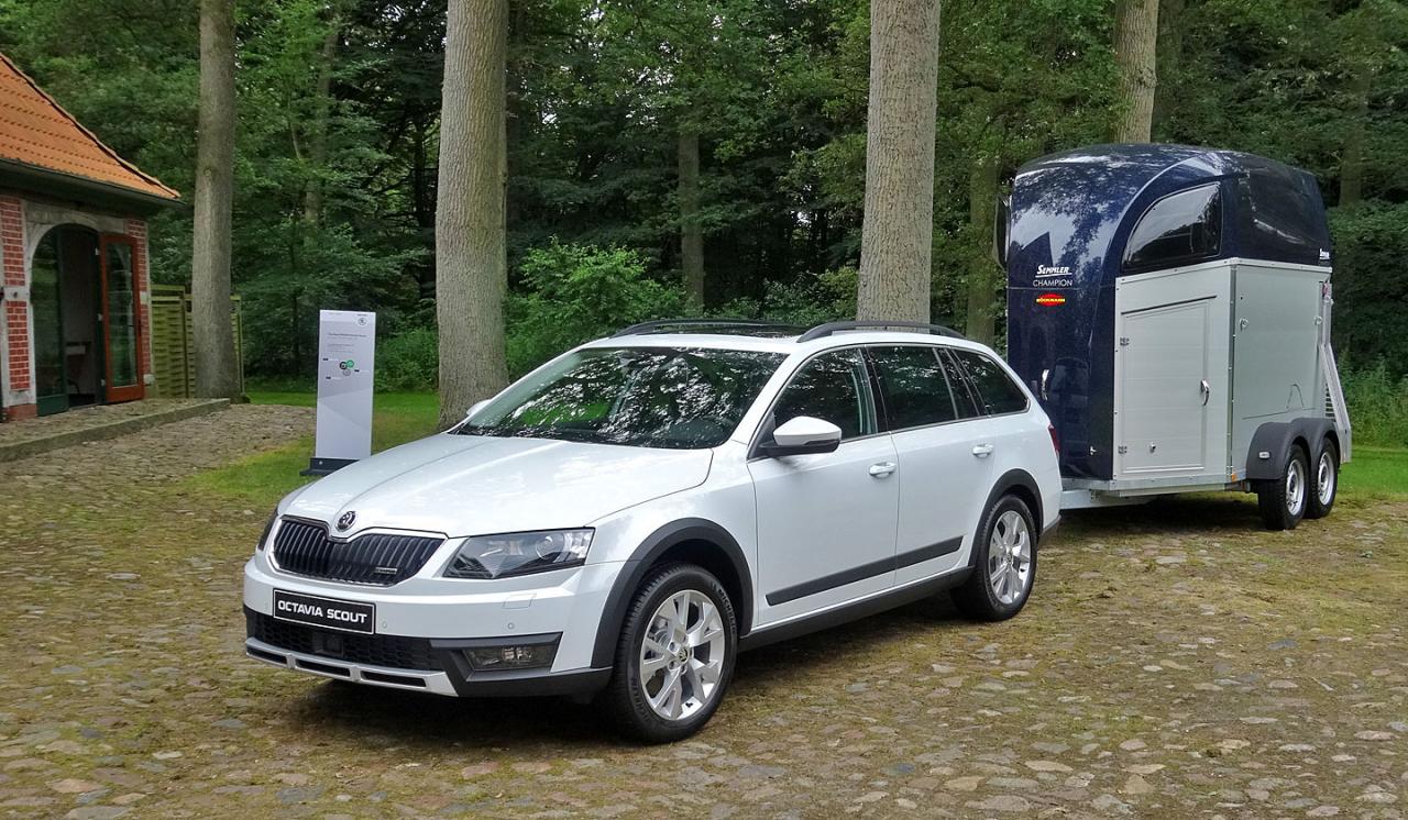 skoda octavia scout 08