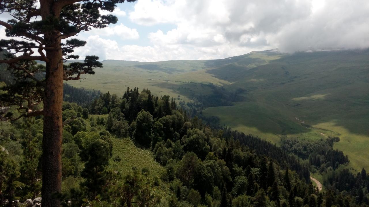 IMG 20140730 133925
