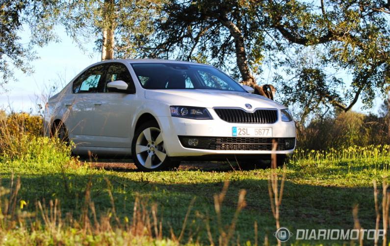 skoda octavia 2013   