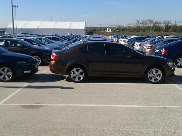 Skoda Octavia 2013  Topaz Brown () -  