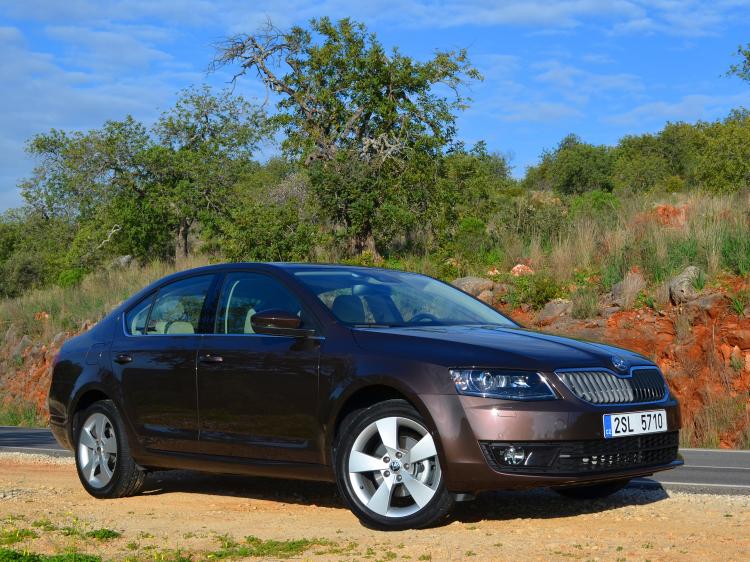 Skoda Octavia 2013  Topaz Brown () -     