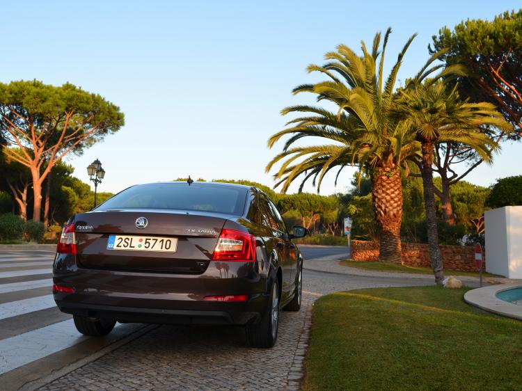 Skoda Octavia 2013  Topaz Brown () -  -