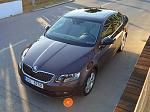 Skoda Octavia 2013  Topaz Brown () -    