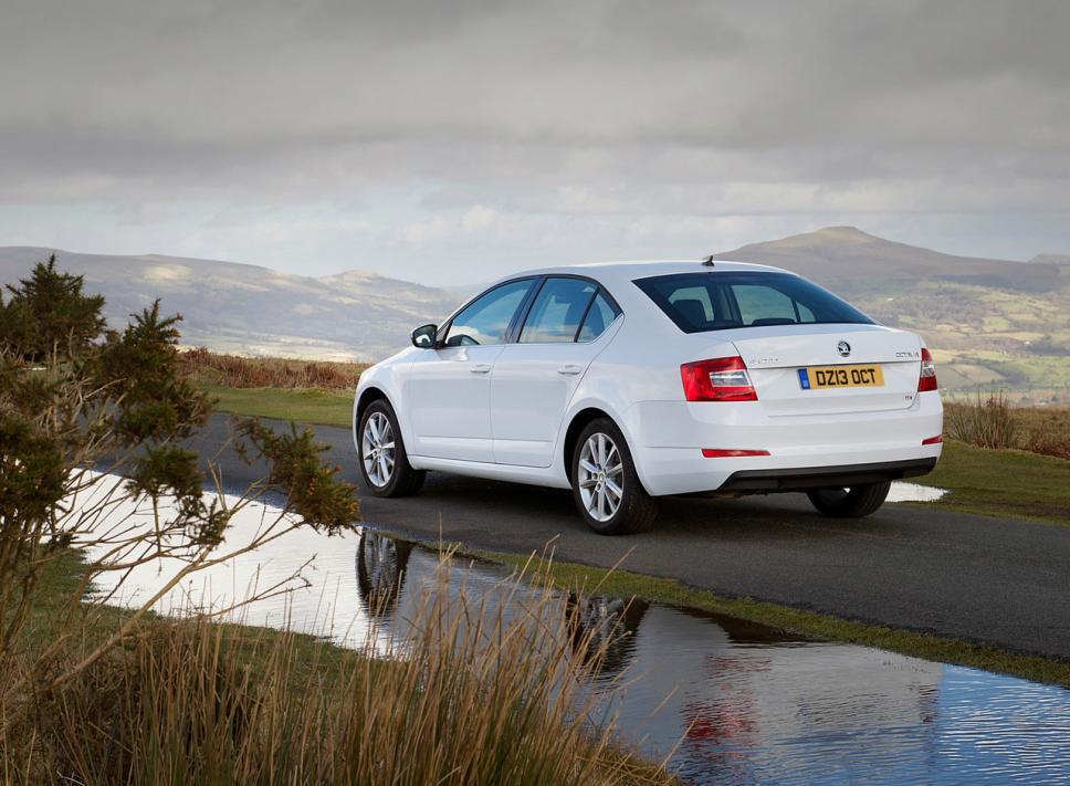 2013 skoda octavia white -  